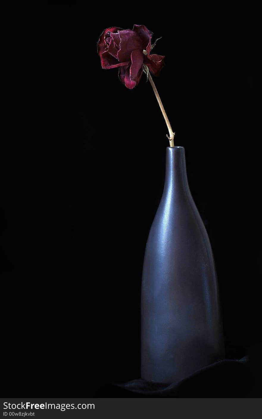 Still life of a faded rose in black vase on black. Still life of a faded rose in black vase on black