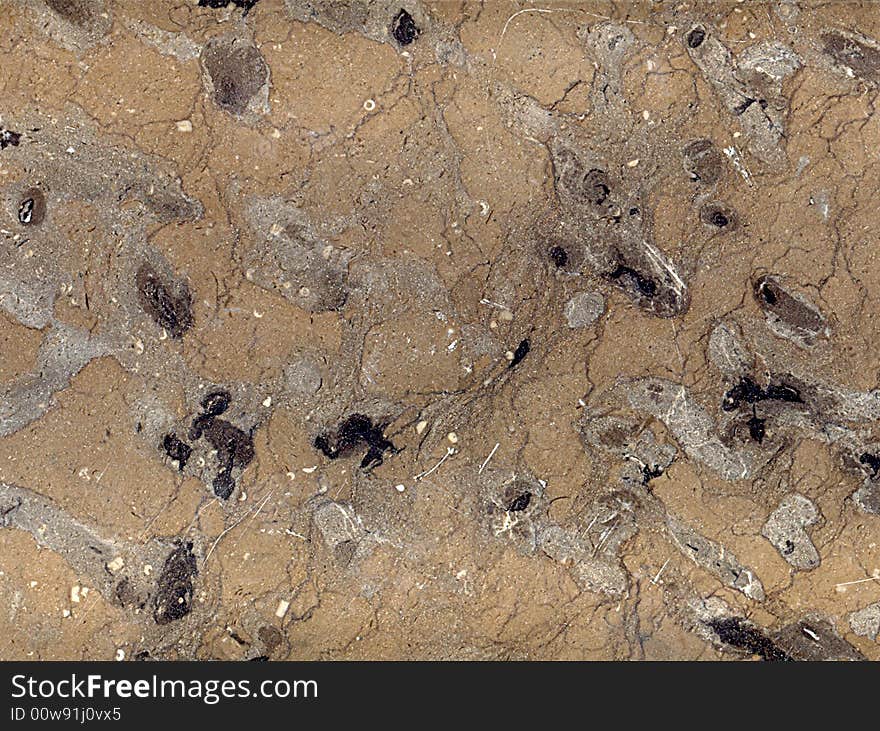 Texture series: close-up of natural stone