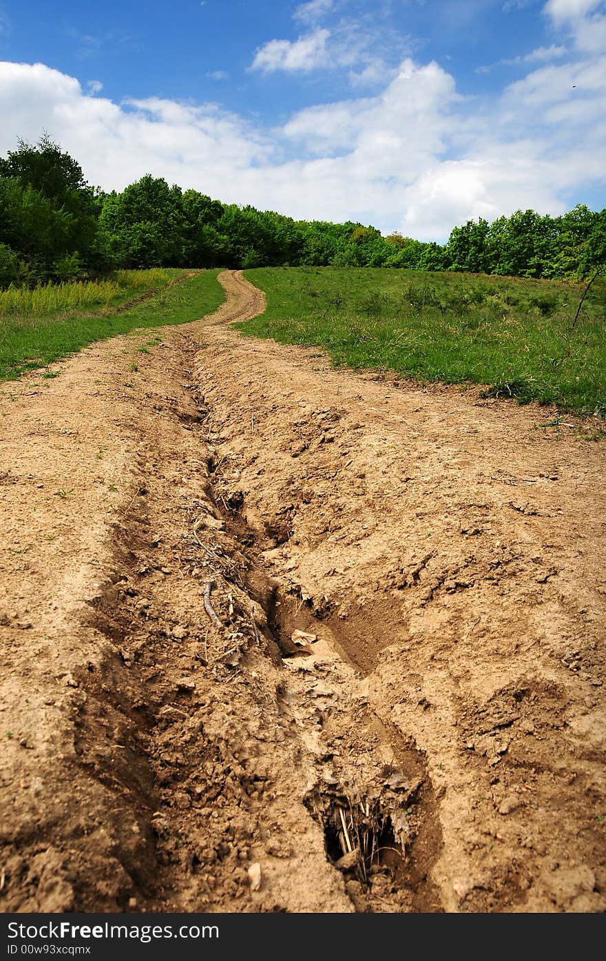 Country Path