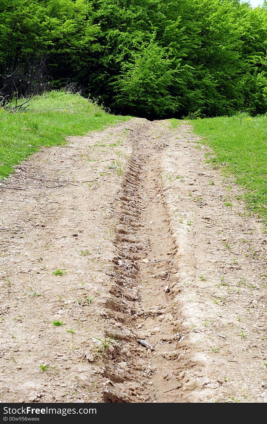 Country Path