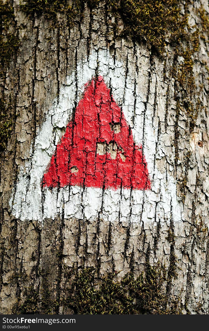 Touristic path-mark in the forest. Touristic path-mark in the forest