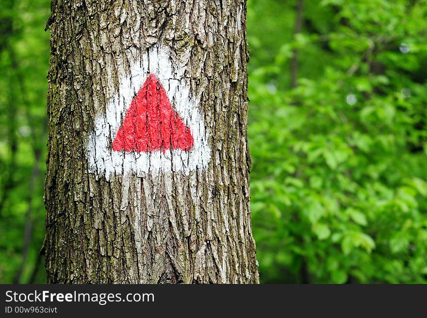 Touristic path-mark in the forest. Touristic path-mark in the forest