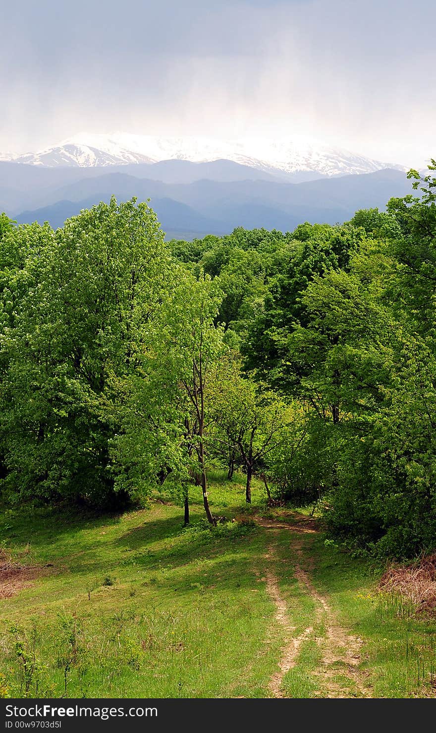 Country Path