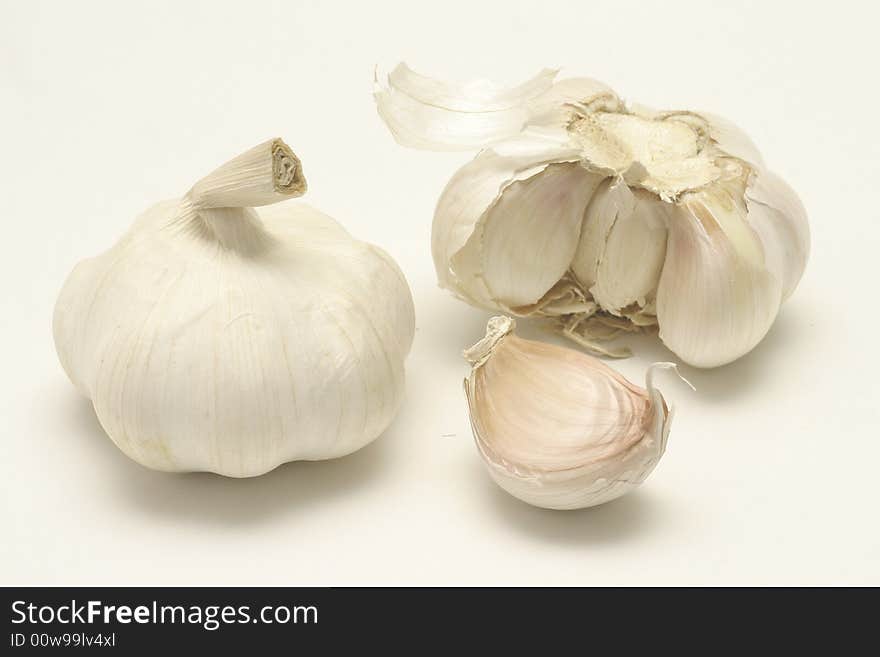 Garlic