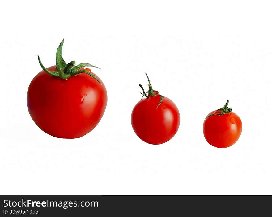 Three tomatoes on white background and water drops on them