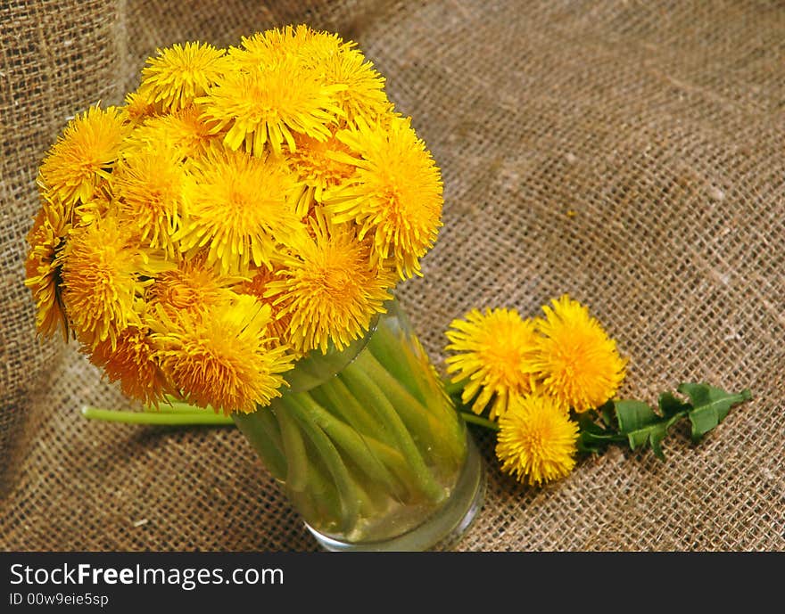 Bunch of dandelions in glass vase on canvas background