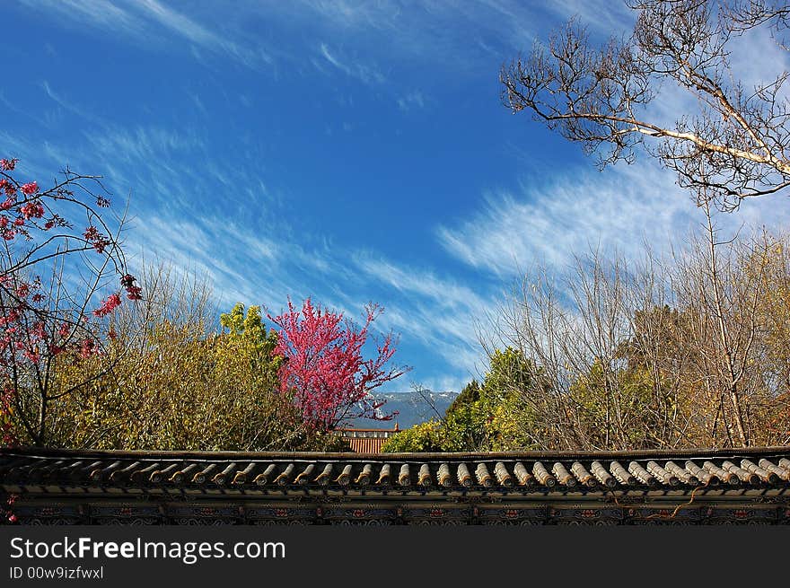 The great colour of the flowers and trees in the garden, you can through the wall and saw it, it is a fantastic view