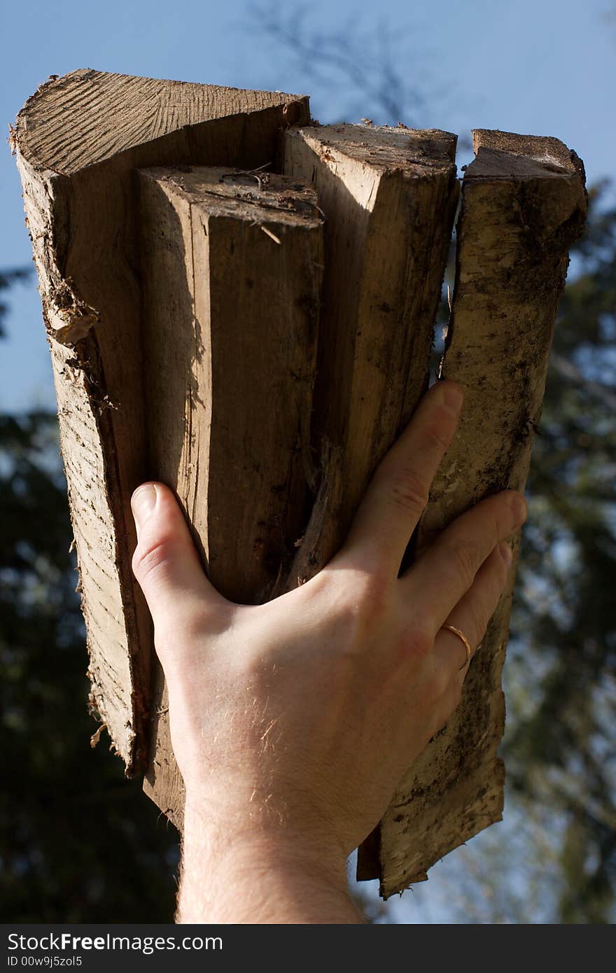 Low angle view of firewood in one hand. Low angle view of firewood in one hand