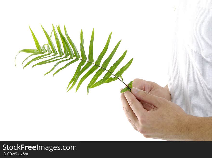 Young man on holding a small plant