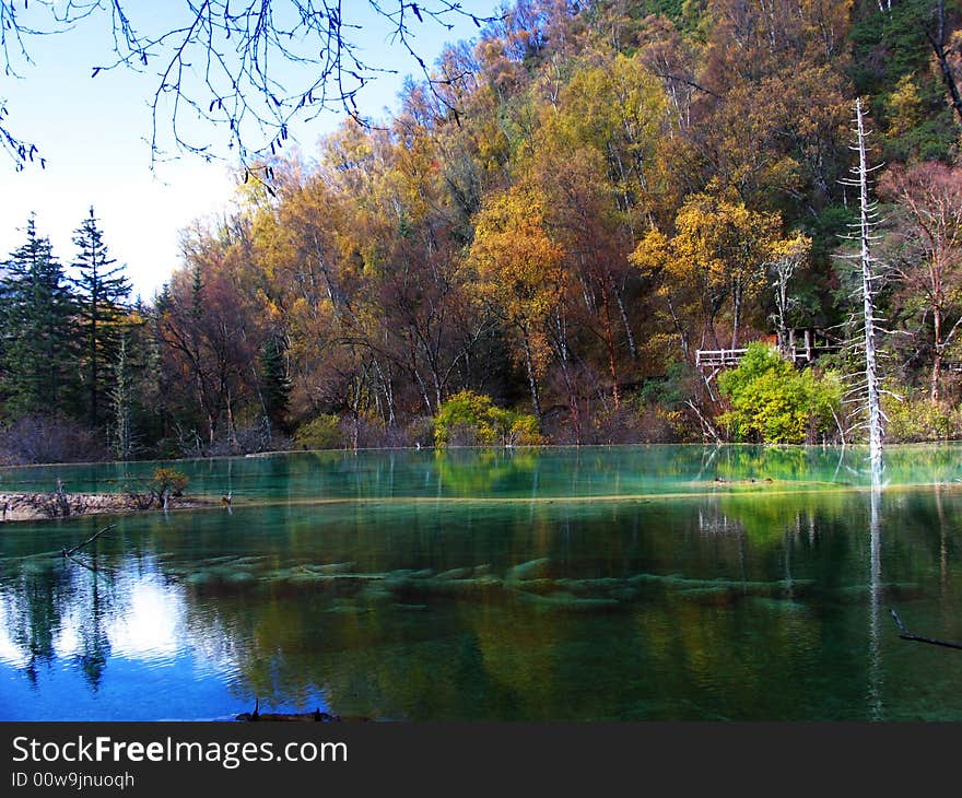 Quiet lake in jiuzhaigou valley scene