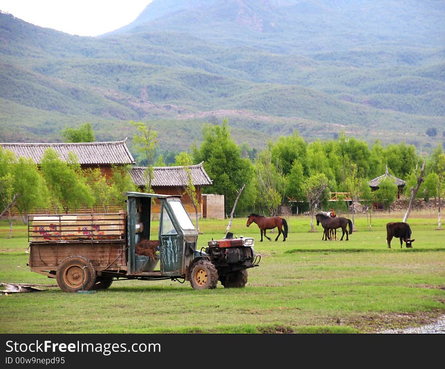 Rural Life