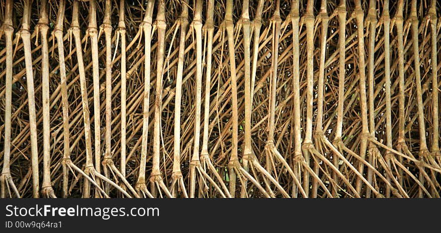 Bamboo pattern in twig fence