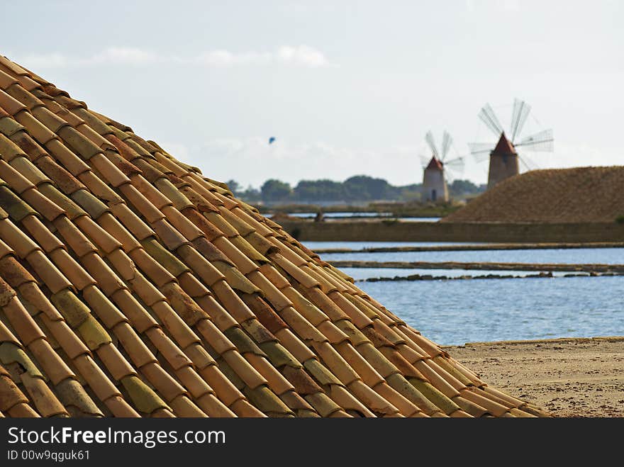 Flour mill