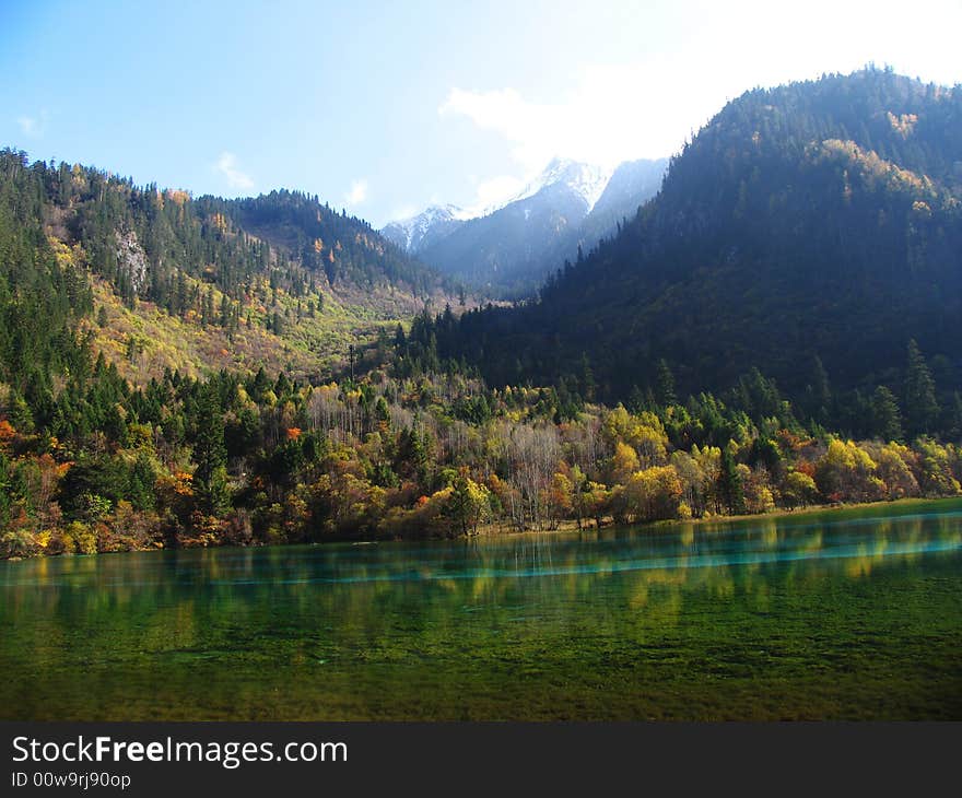 Peacock lake