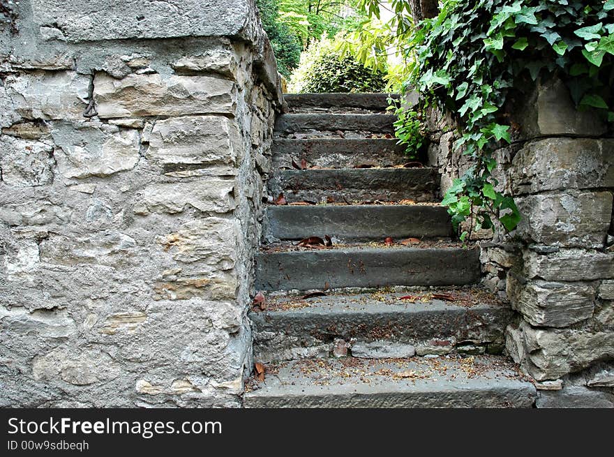 Old stairs with stones, plants and bush for access to medieval castle. Old stairs with stones, plants and bush for access to medieval castle