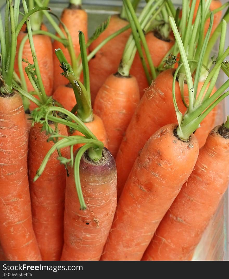 Freesh carrots on a street market