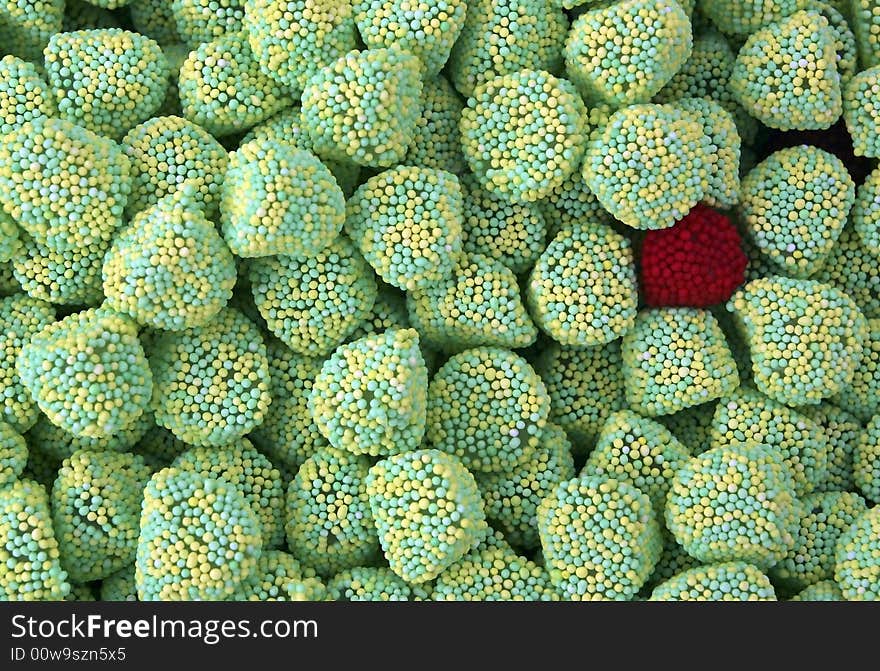 Close up of multicolored sweet gum candy