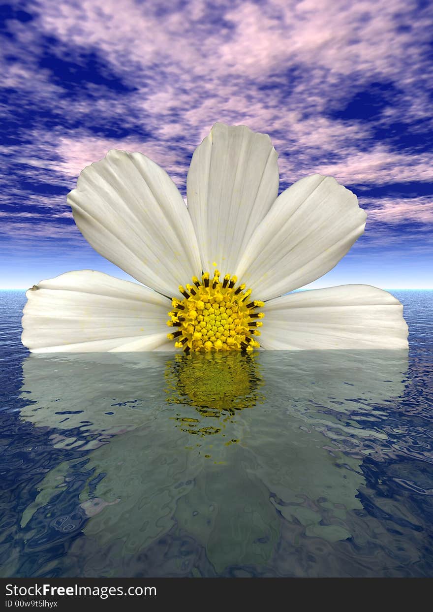 Beautiful flower with reflection on water - digital artwork.