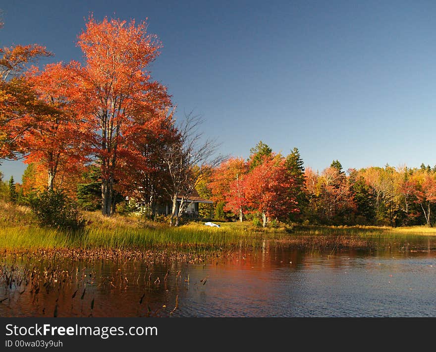 Autumn On A Lake