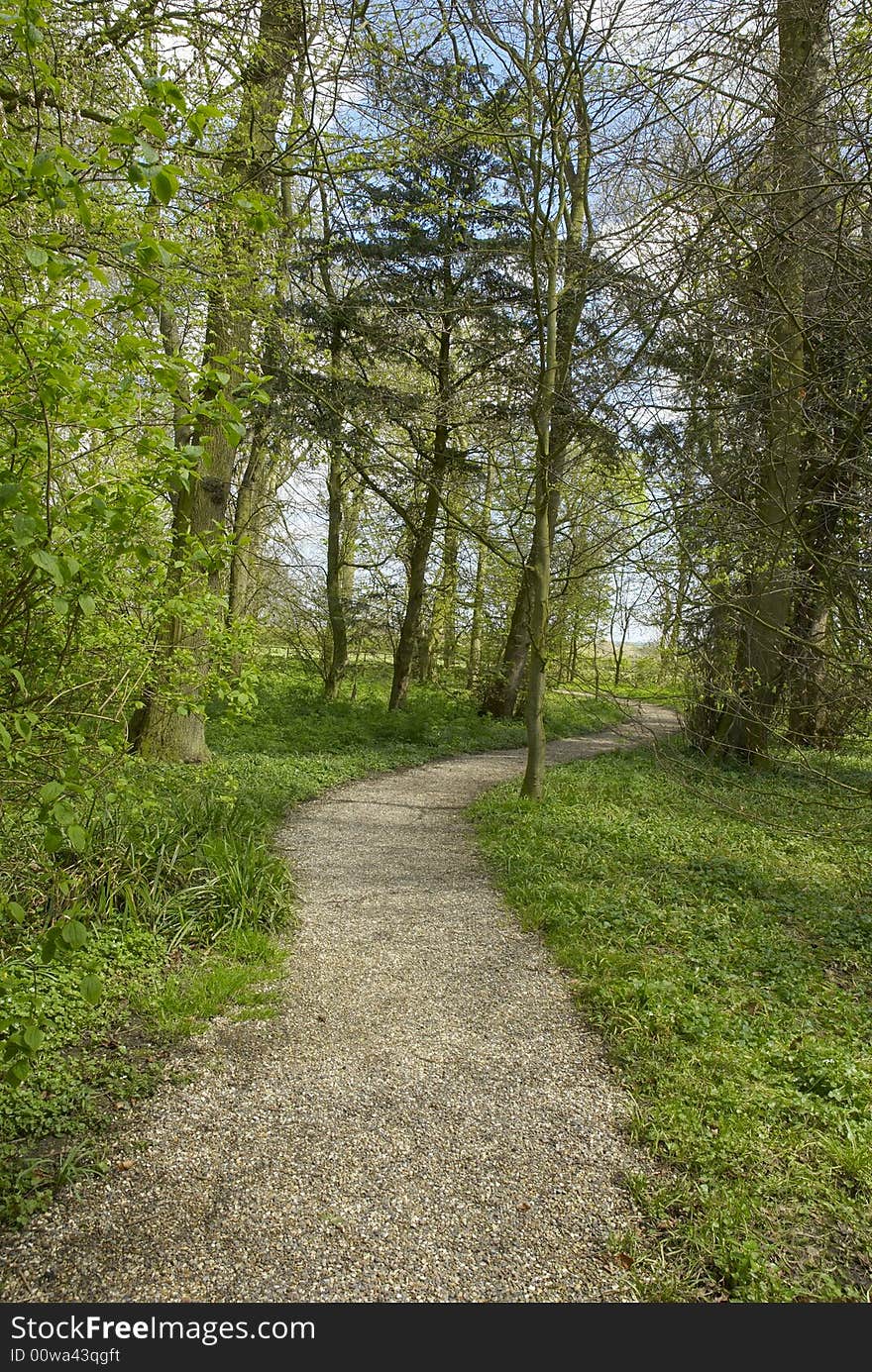 Woodland leisure walk in spring, May, UK. Woodland leisure walk in spring, May, UK.