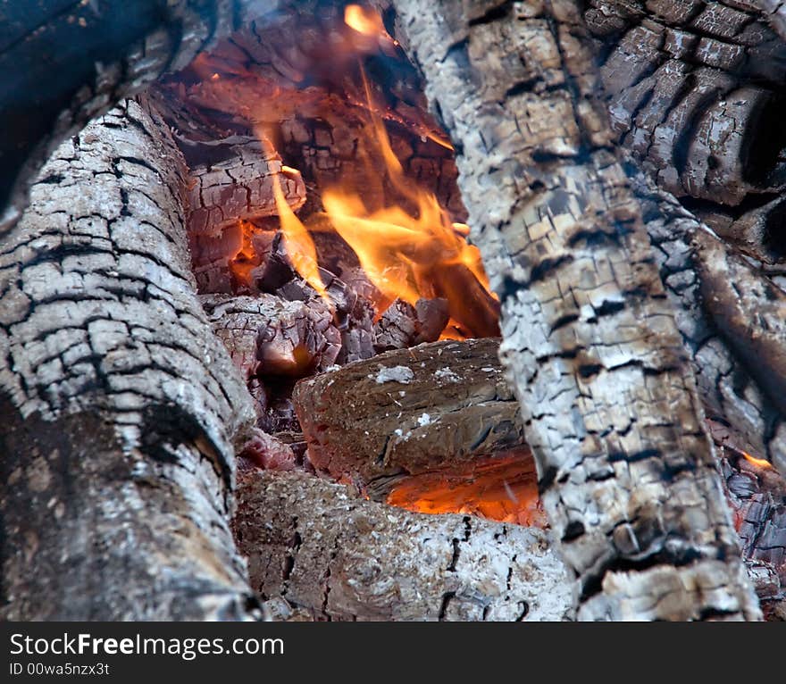 Bonfire. Live fire. Firewood burn hot.