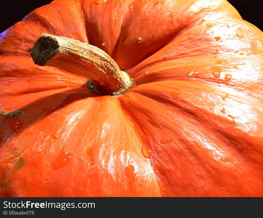 Big halloween pumpkin