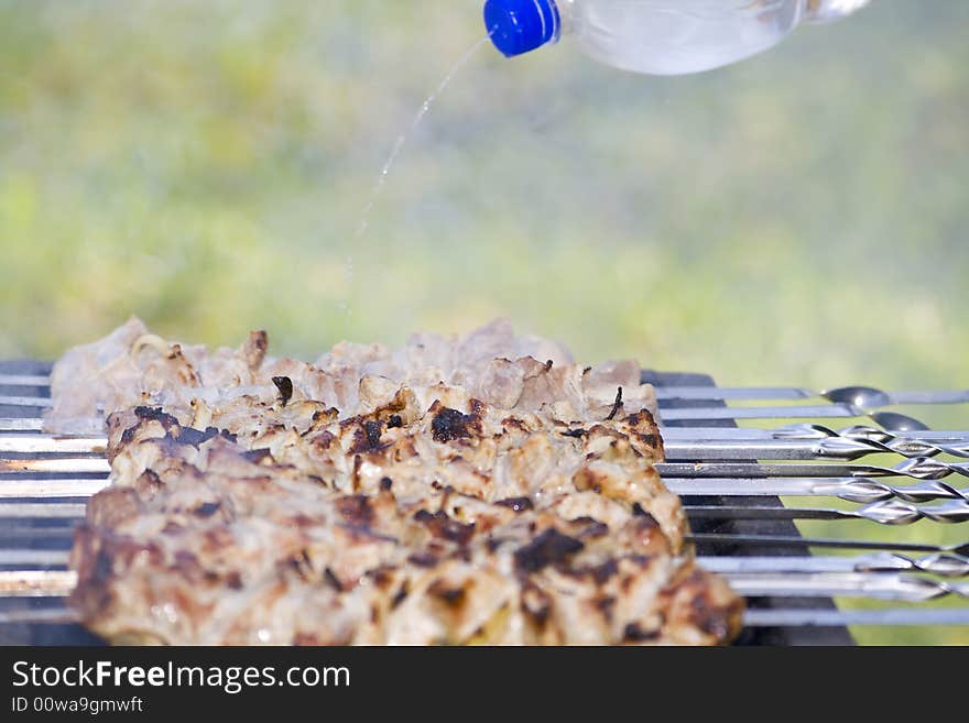 Shish kebab on the grill