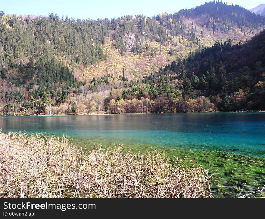 Lake in jiuzhaigou valley scene，sichuan province. Lake in jiuzhaigou valley scene，sichuan province