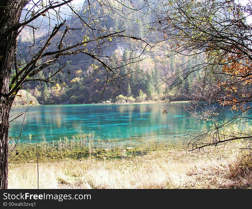 Lake in jiuzhaigou valley scene，sichuan province. Lake in jiuzhaigou valley scene，sichuan province