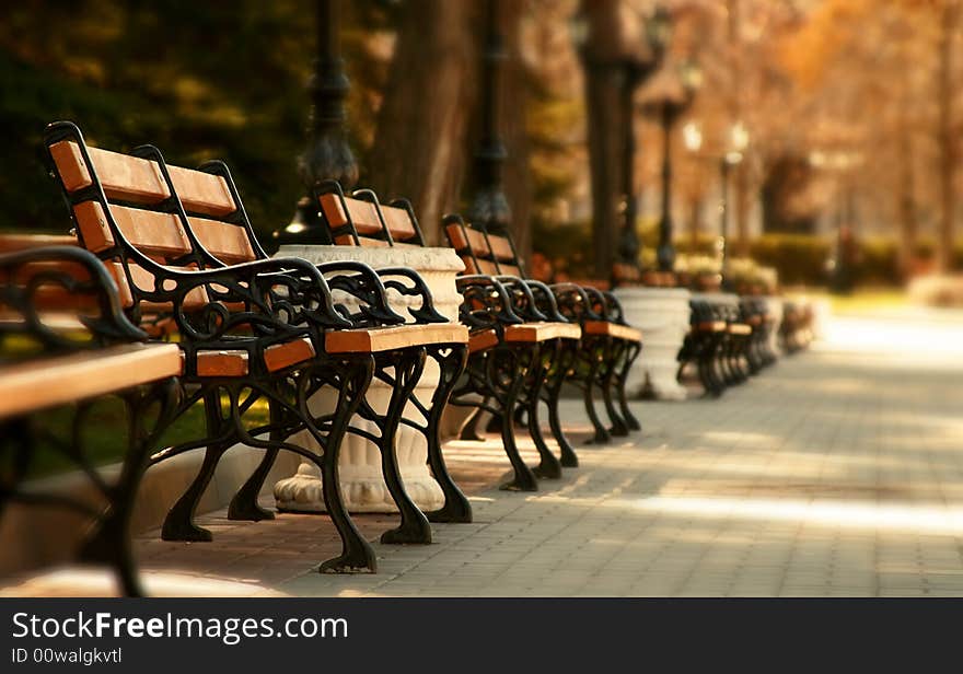 Summer garden with benches in Sevastopol