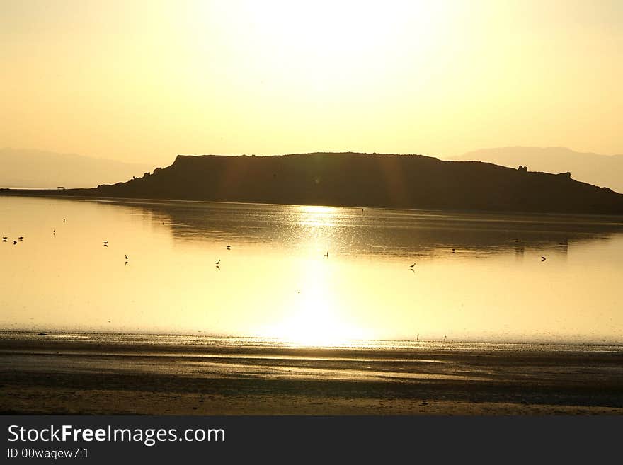 Sunset with birds