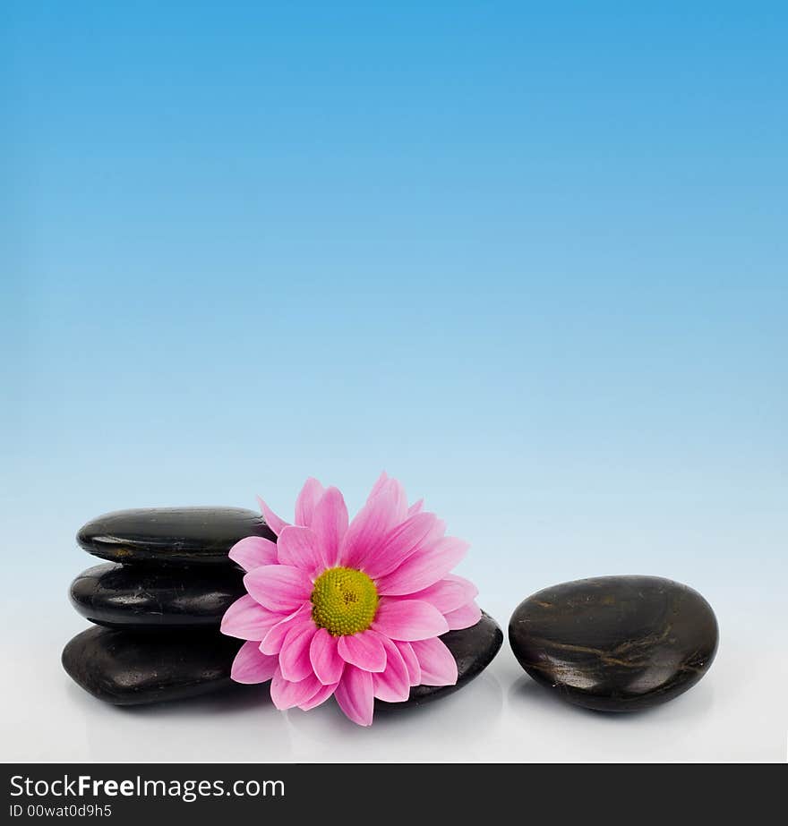 An image of row of stones with flower on blue background. An image of row of stones with flower on blue background