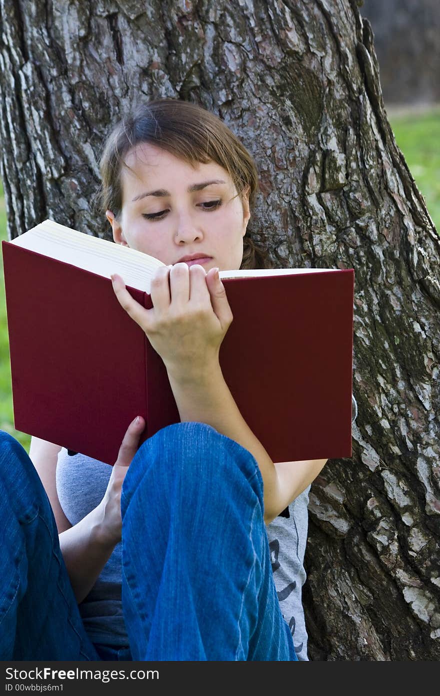 Young woman enjoying a book. Young woman enjoying a book