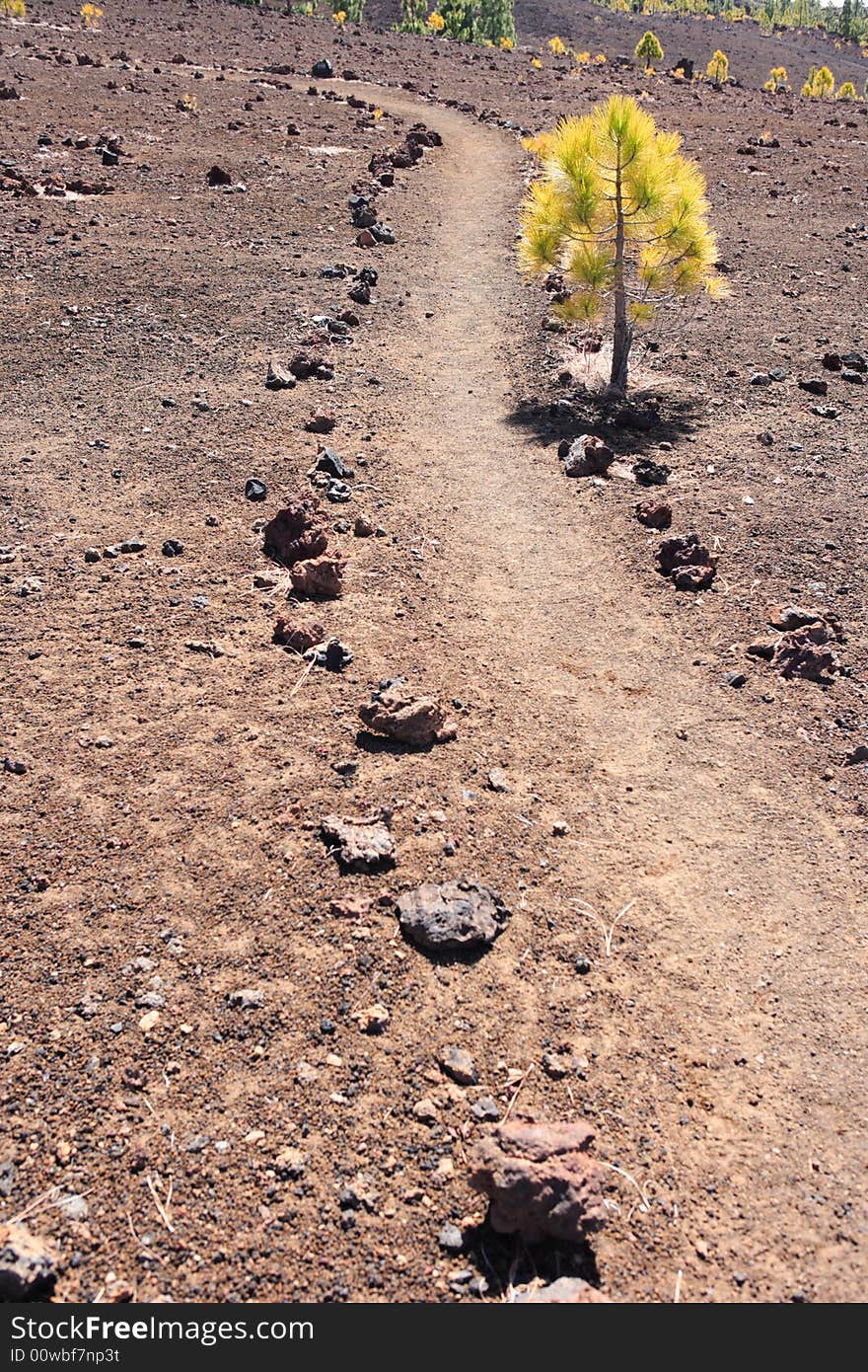 Trail through volcanic landscape at tenerife,spain. Trail through volcanic landscape at tenerife,spain