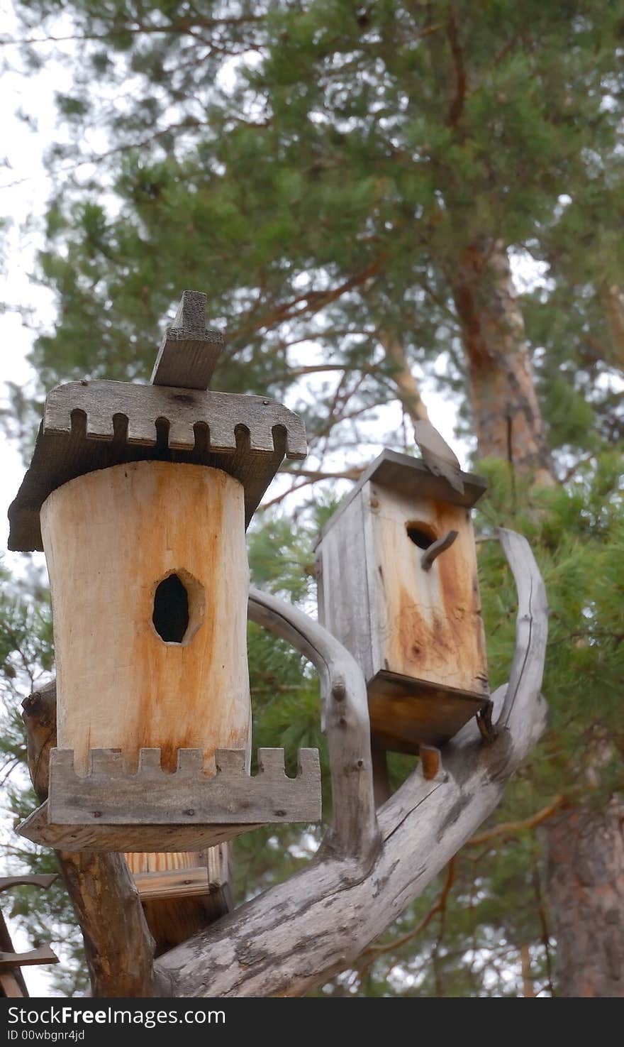 Two birdhouses