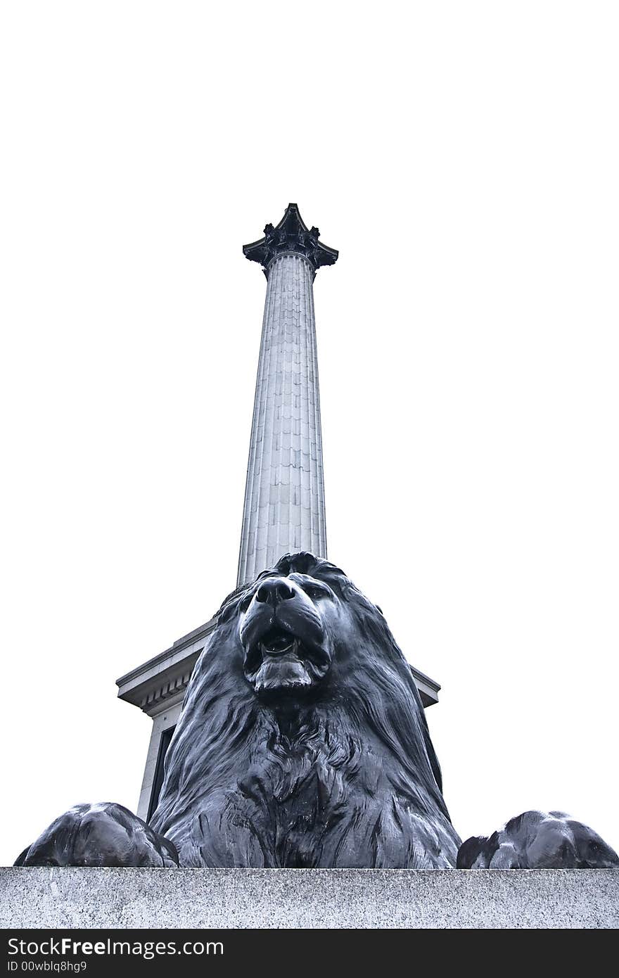 Lion under Nelsons Column, isolated on white.