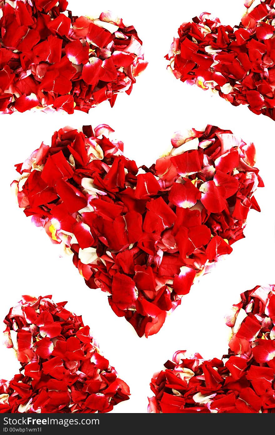 Red rose plants hearts background. Red rose plants hearts background