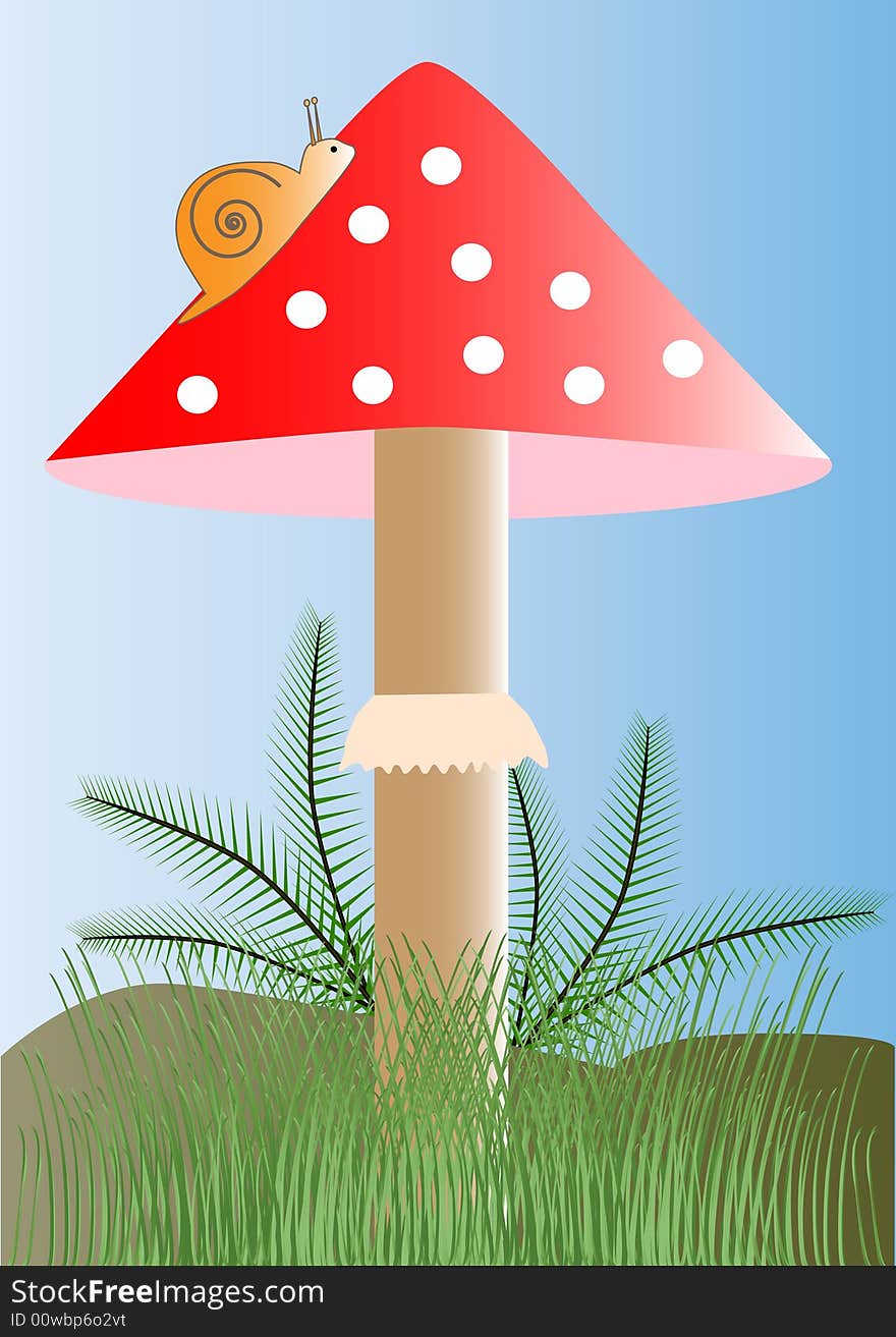 A snail on a flyagaric. A snail on a flyagaric