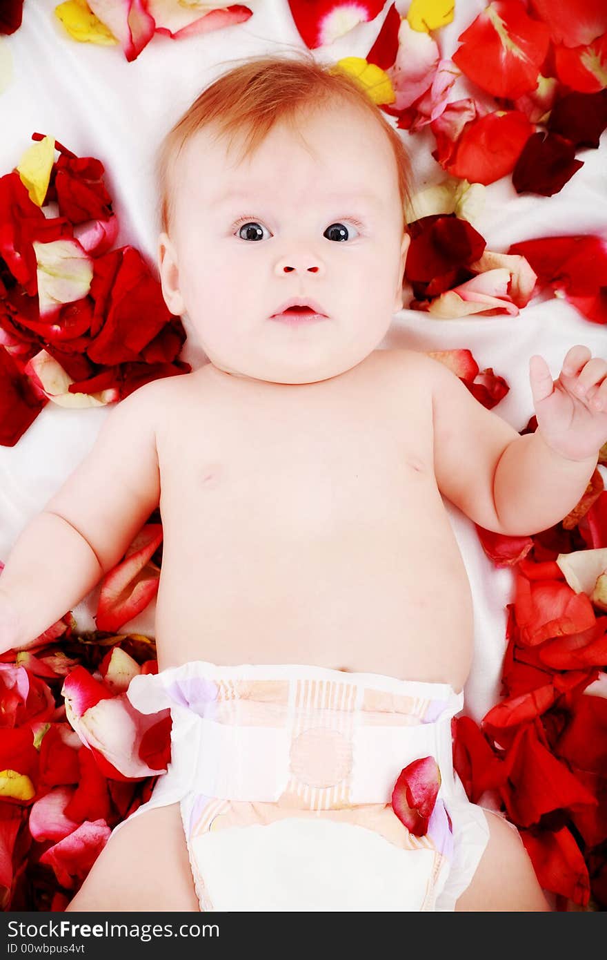 Beautiful baby in a rose plants. Shot in studio. Beautiful baby in a rose plants. Shot in studio.