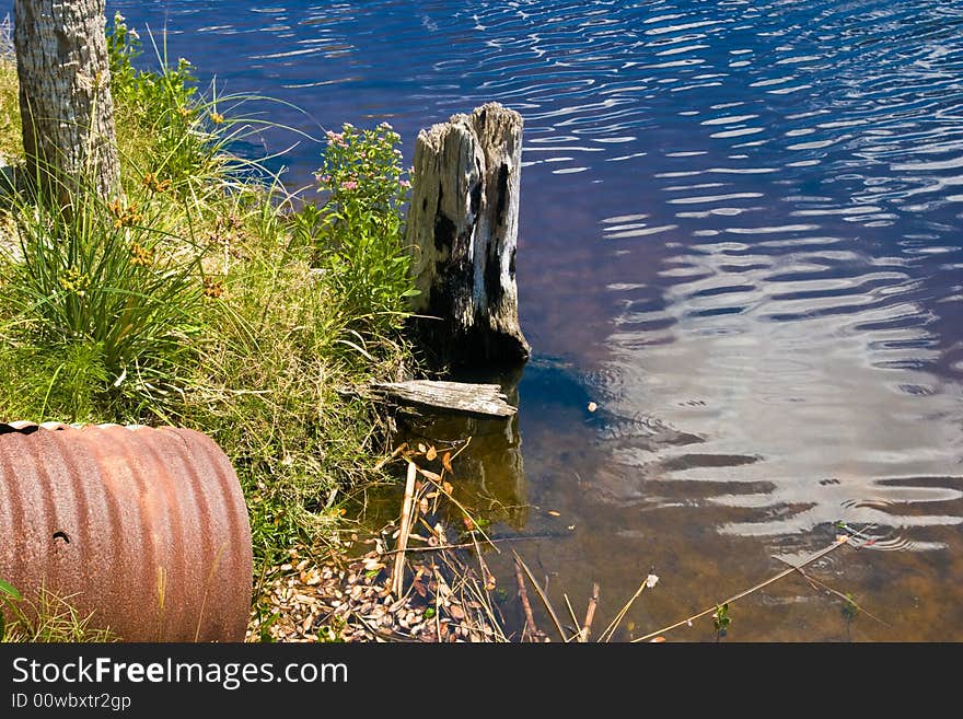 Stump & Culvert and canal s edge.