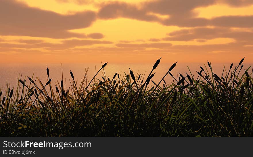 Water plants on a sea sunset background - 3D scene. Water plants on a sea sunset background - 3D scene.