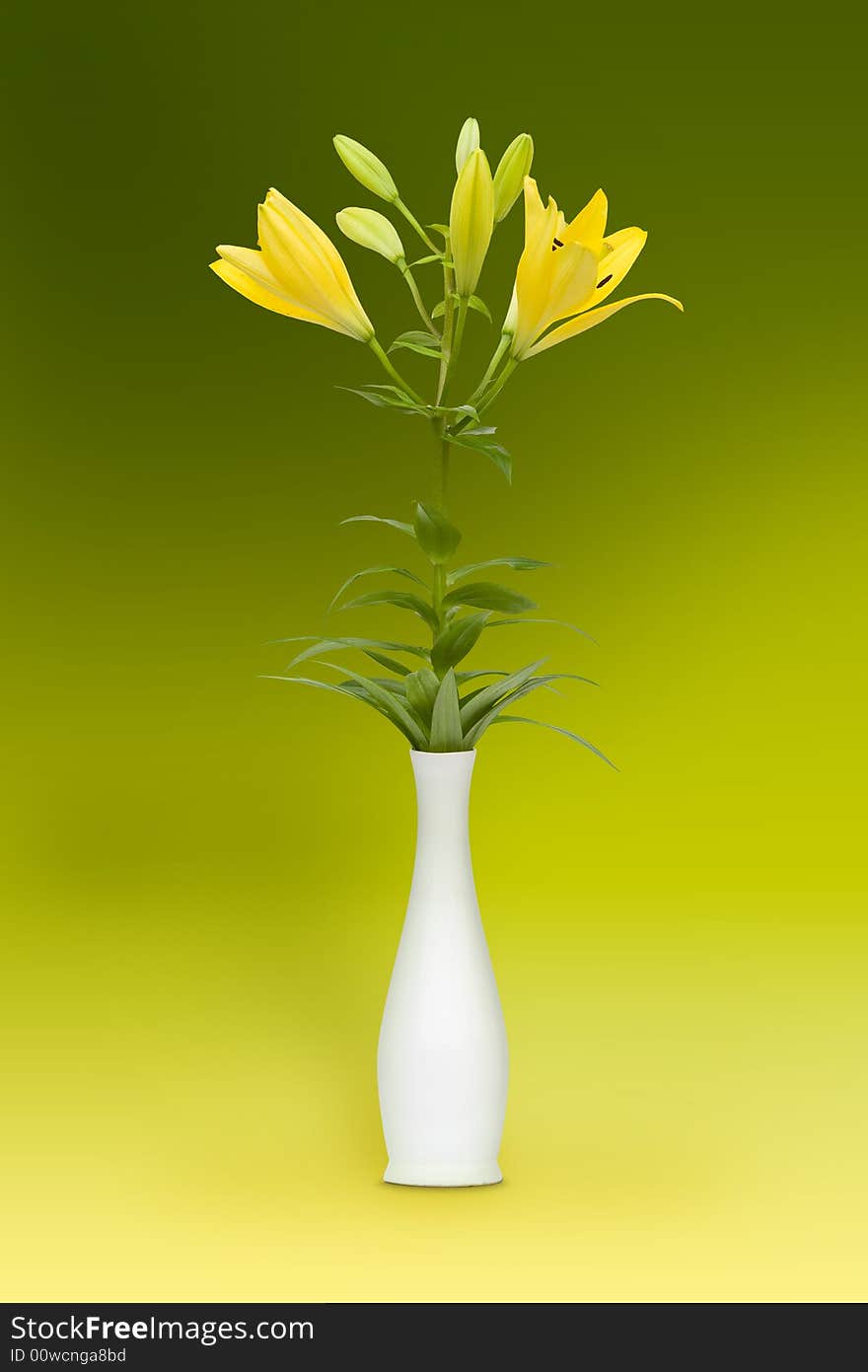 Bouquet of yellow lily - delight for woman. Bouquet of yellow lily - delight for woman