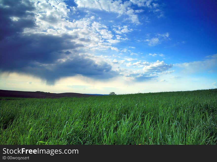 Green field and blue sky with thunder-clouds on it. Green field and blue sky with thunder-clouds on it