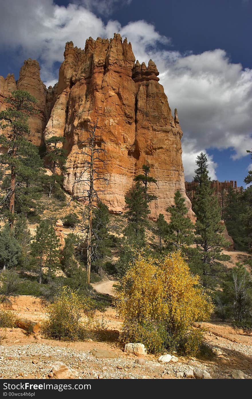 The well-known orange rocks in Bryce canyon in state of Utah USA. The well-known orange rocks in Bryce canyon in state of Utah USA