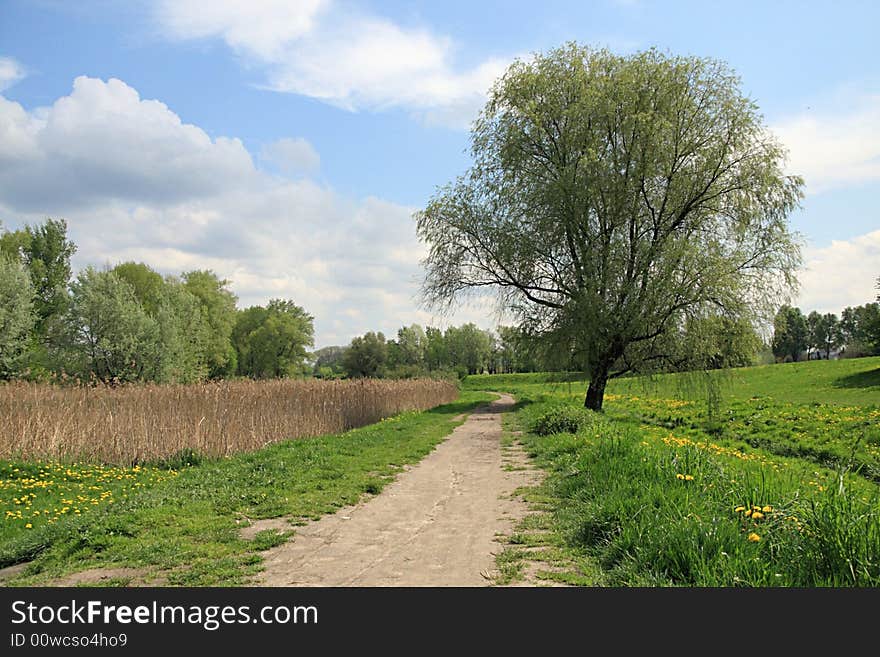 Countryside path in green field with blue sky