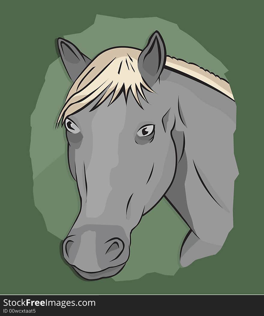 Horse Illustration