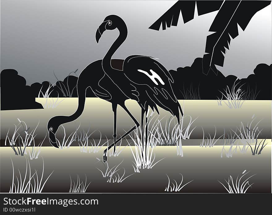 The image of silhouettes of two flamingos.