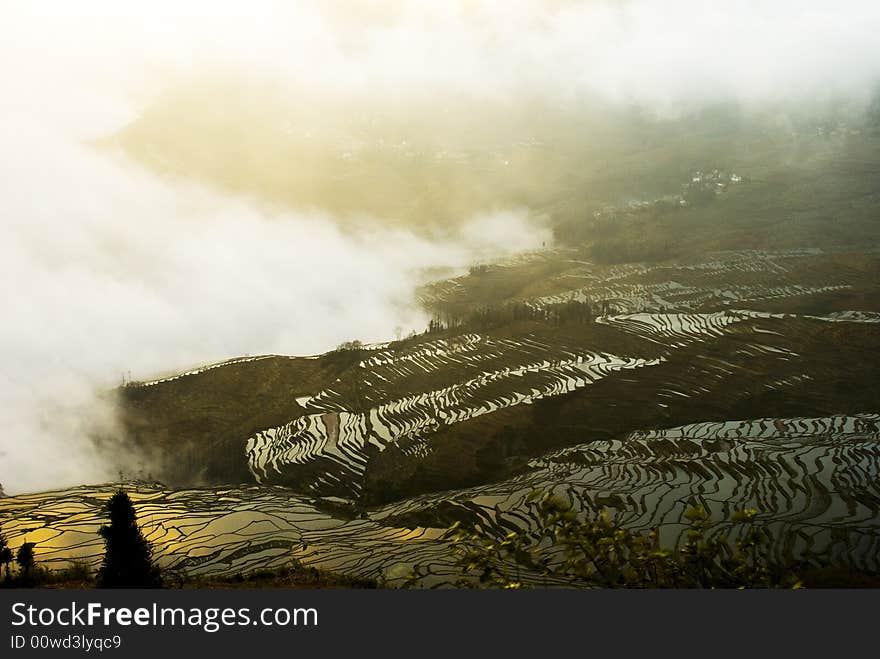 Yuanyang ladder field