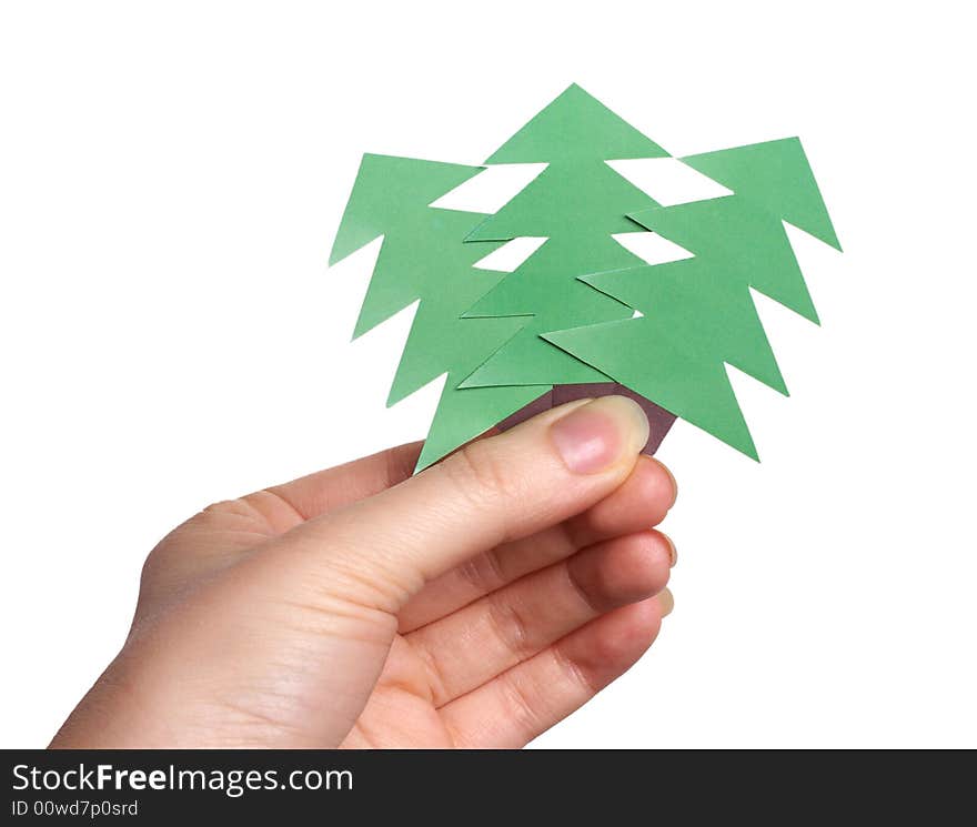 Hand holding Christmas trees isolated over white