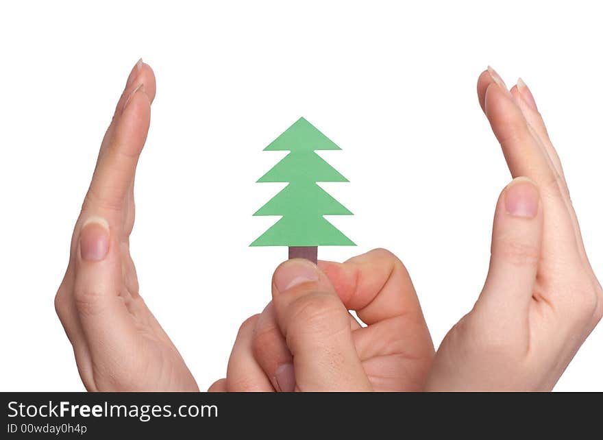 Taking care of Christmas tree isolated over white